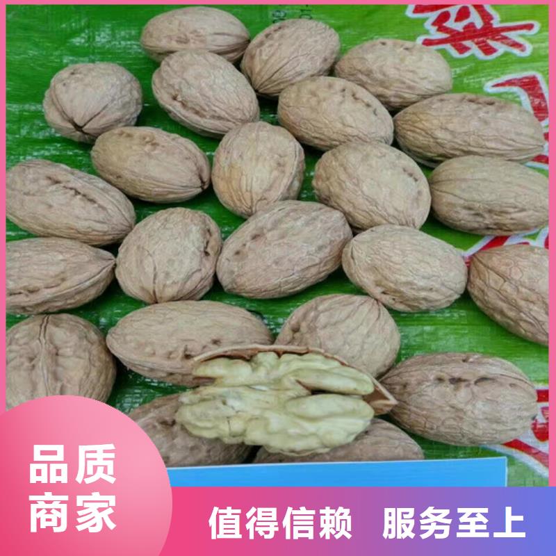 【核桃苗油蟠桃樹苗用心服務(wù)】