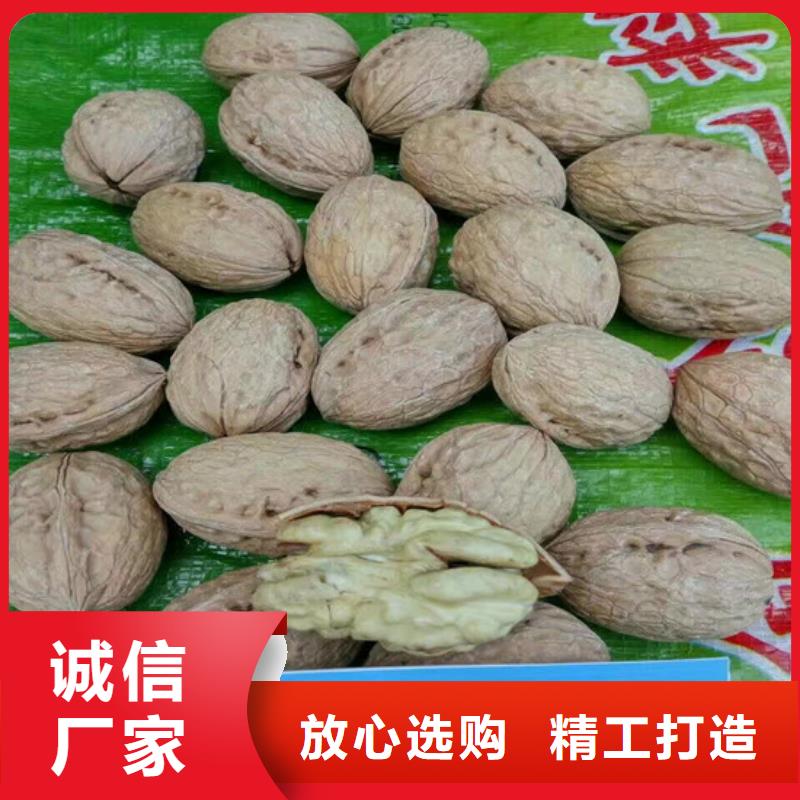 桃树苗视频-桃树苗-广祥农业科技(白银市分公司)服务区域景泰|平川|庆阳|甘南|平凉|酒泉|定西|张掖