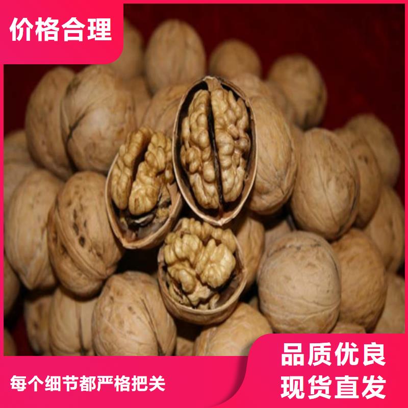 核桃苗_紅油香椿樹苗誠信可靠