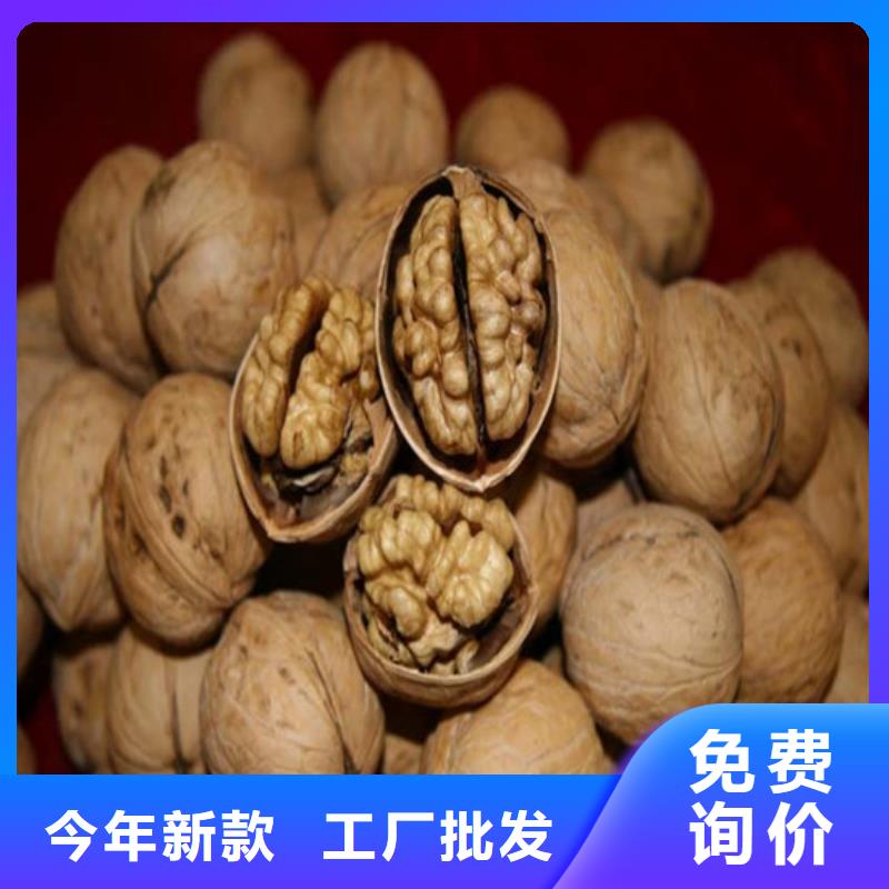 核桃苗【梨樹苗】質(zhì)量三包
