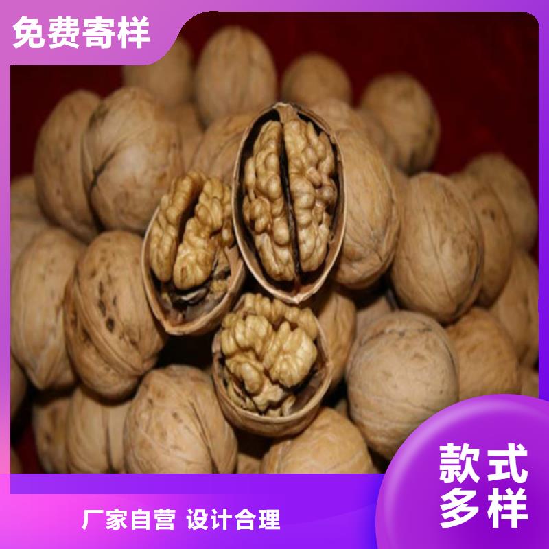 【核桃苗-果樹苗廠家十分靠譜】