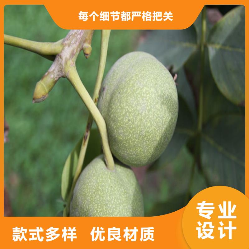 核桃苗梨樹苗采購(gòu)