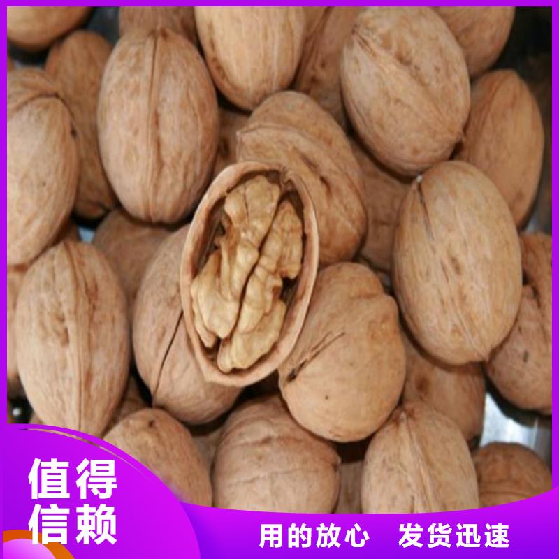 核桃苗花椒樹(shù)苗貨源報(bào)價(jià)