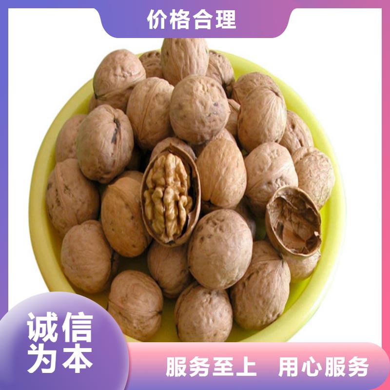 【核桃苗葡萄苗基地廠家現貨供應】