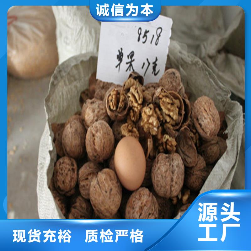 核桃苗蓝宝石葡萄苗规格齐全实力厂家