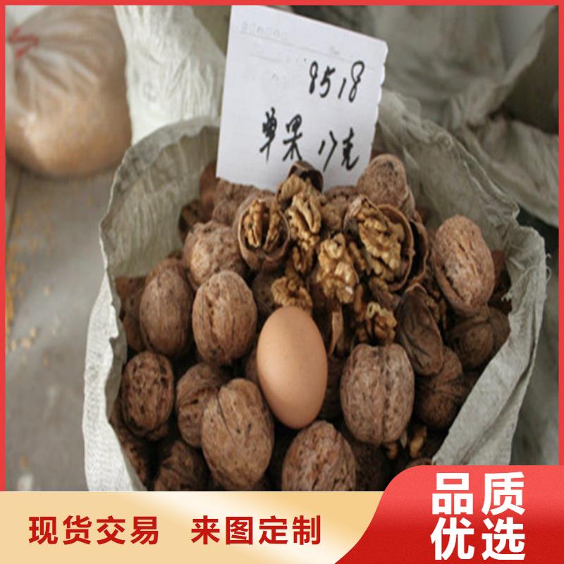 桃树苗视频-深圳市桃树苗-同城可服务区域大浪|福田|东莞|惠州|阳江|韶关|肇庆