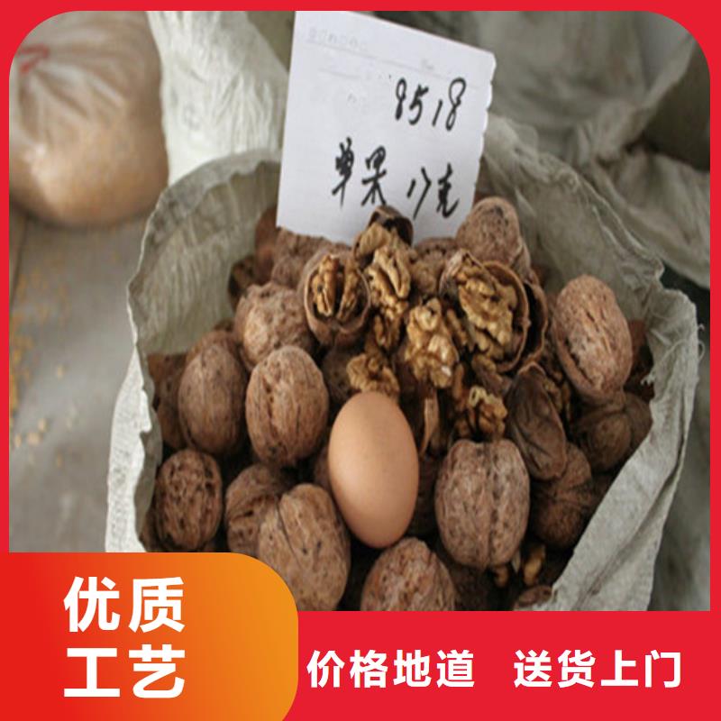 核桃苗珍珠棗油桃樹苗廠家采購