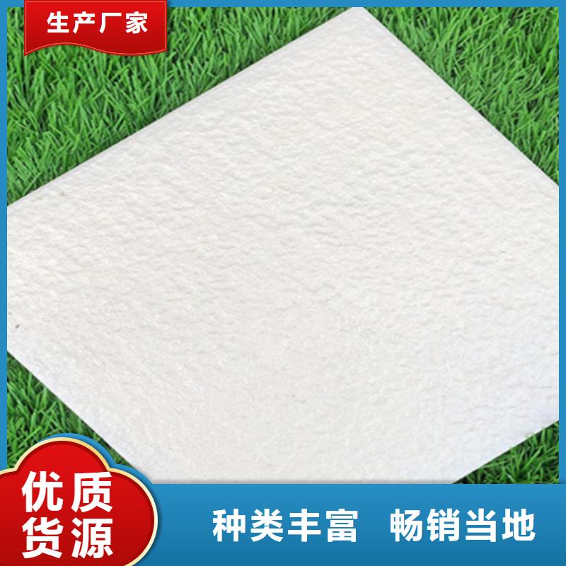 廣場磚樓頂磚地板磚匠心品質