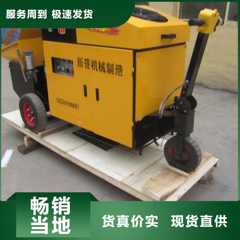二次構(gòu)造柱混凝土輸送泵大顆粒-新普機(jī)械制造廠