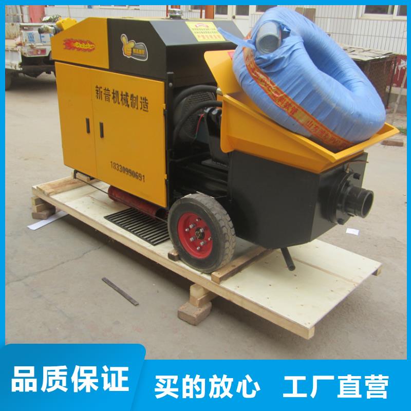 平價的斜式二次構造柱泵