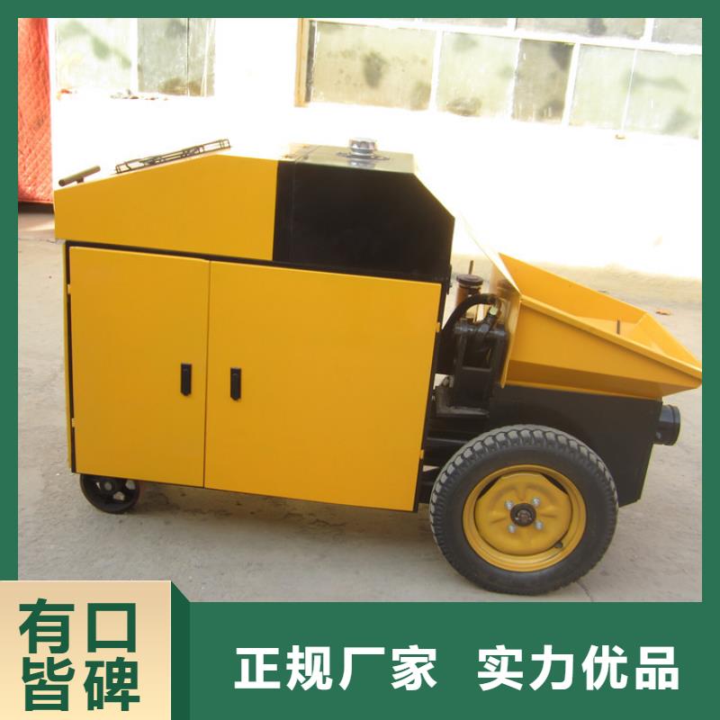 【二次構造柱泵-砂漿噴涂機專業完善售后】