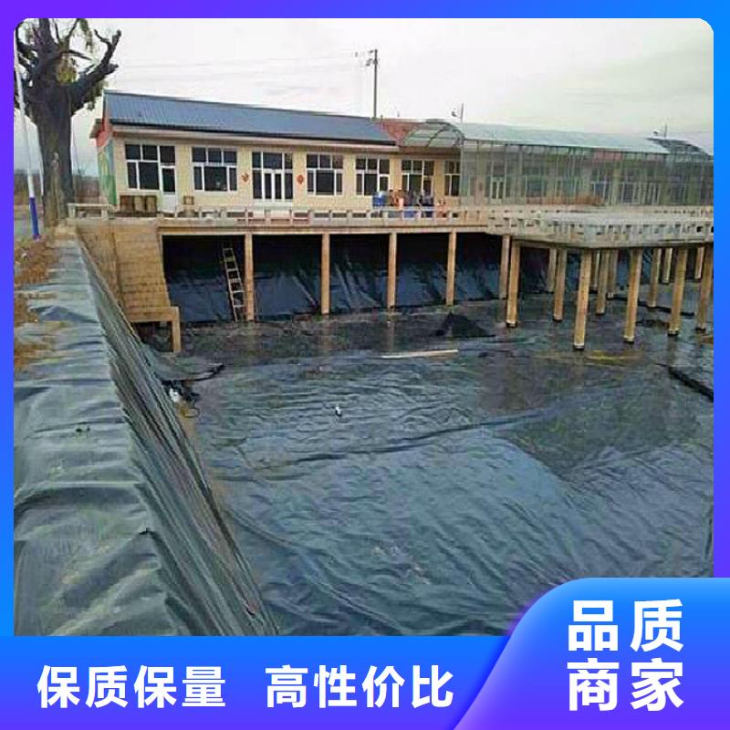 灌溉池聚乙烯土工膜