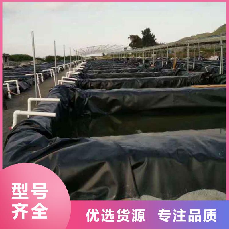 灌溉池聚乙烯土工膜