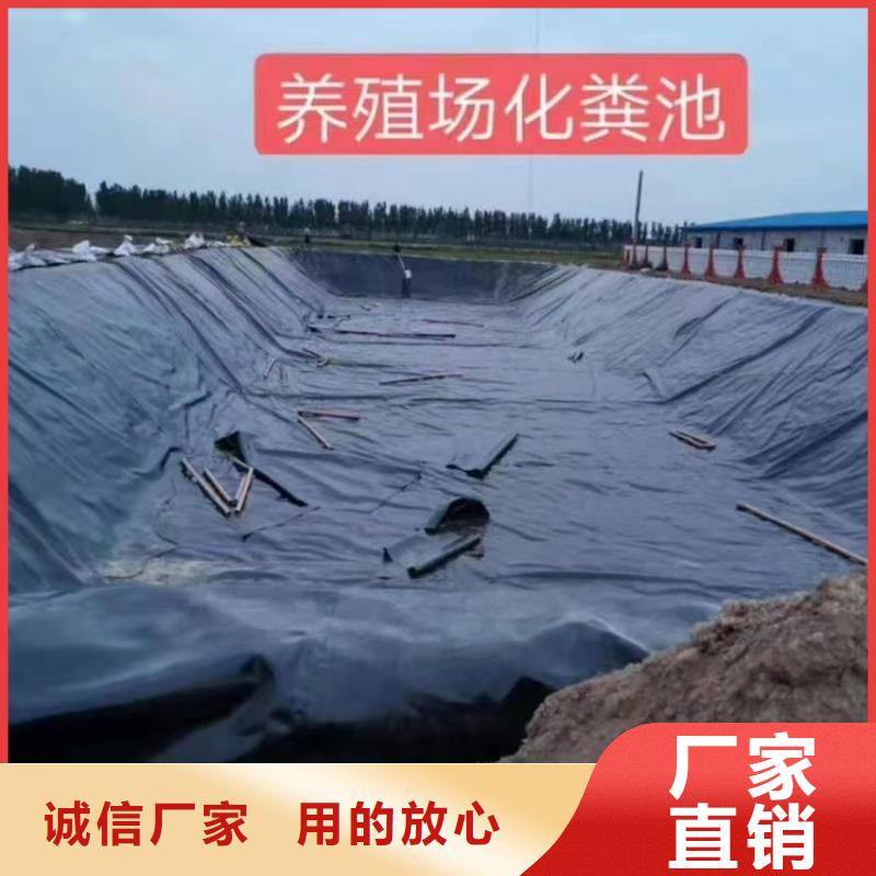 石油化工聚乙烯土工膜