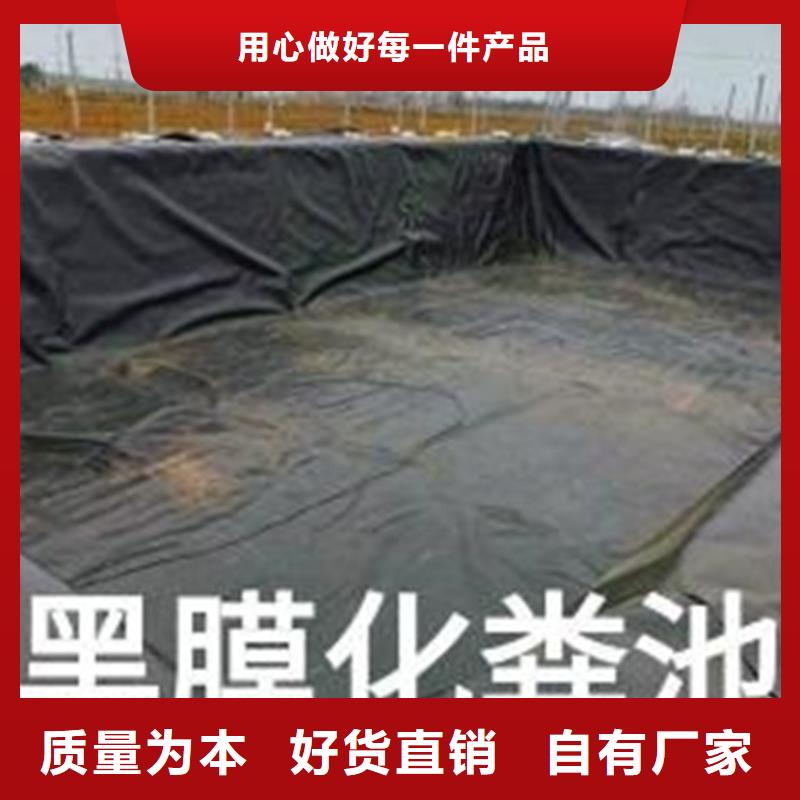 土工膜【植草格】价格实在