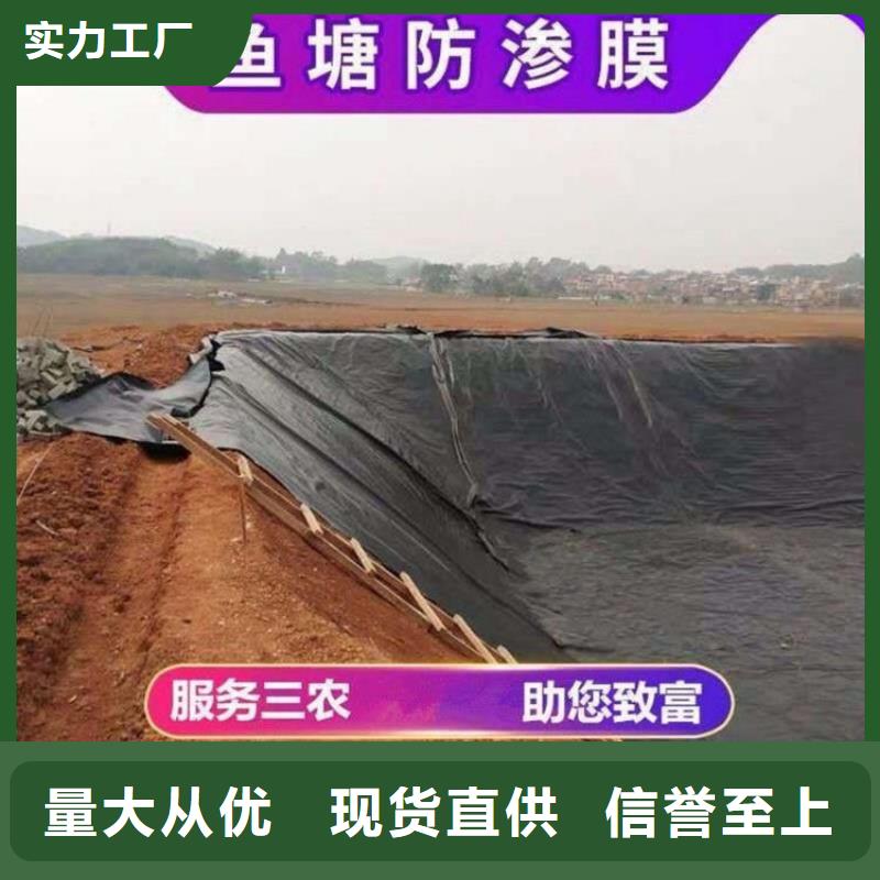 土工膜【防草布】客戶信賴的廠家