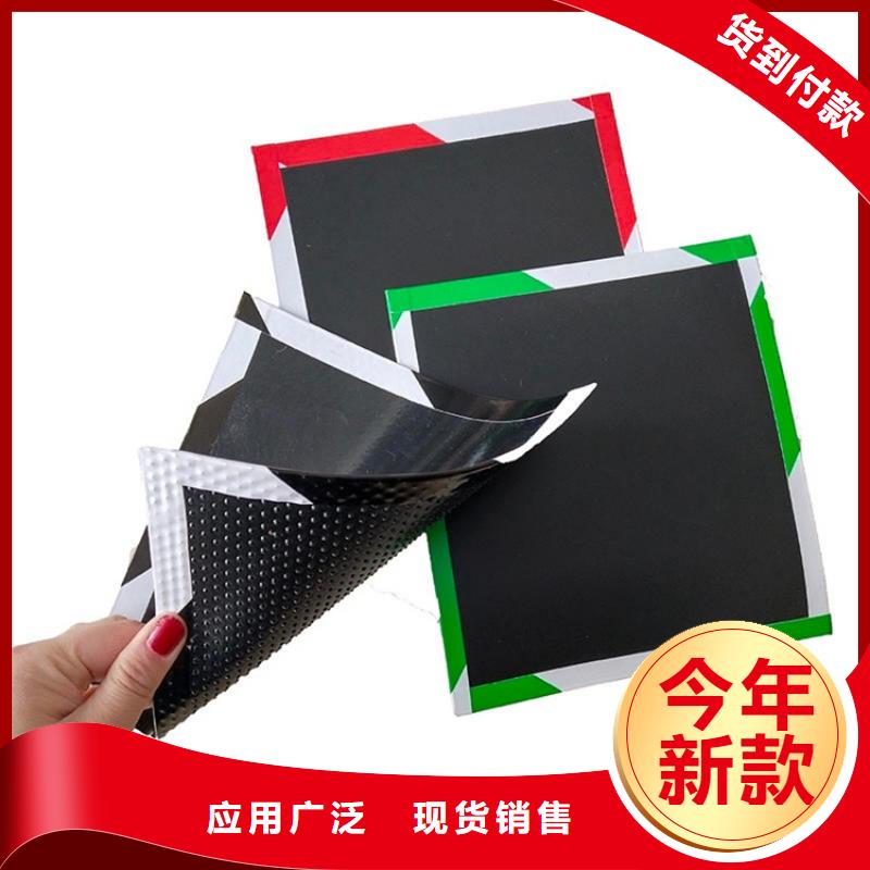土工格栅视频-土工格栅-鼎诺土工材料(阿坝市分公司)服务区域九寨沟|松潘|广安|资阳|甘孜|遂宁|南充|乐山|眉山