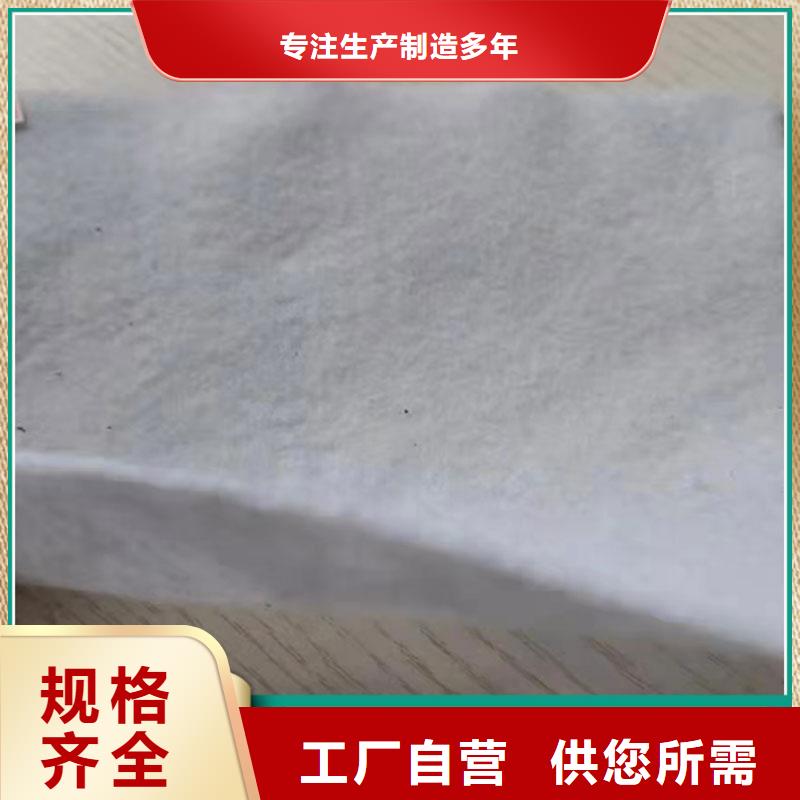 防水土工布批發(fā)量大從優(yōu)