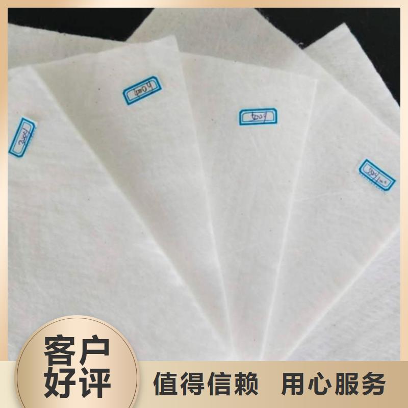 100g土工布