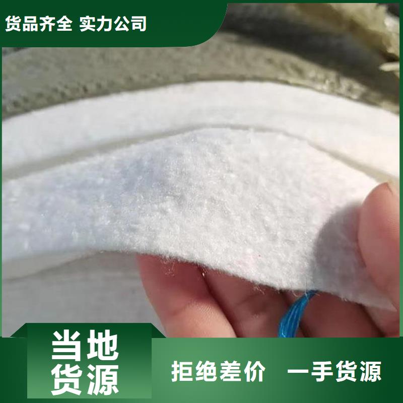 反濾土工布