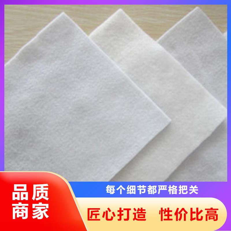 土工布防裂貼服務(wù)至上