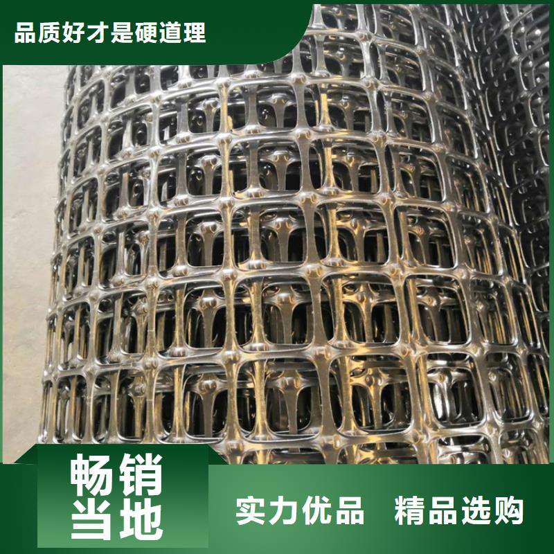 土工格柵土工膜定制速度快工期短