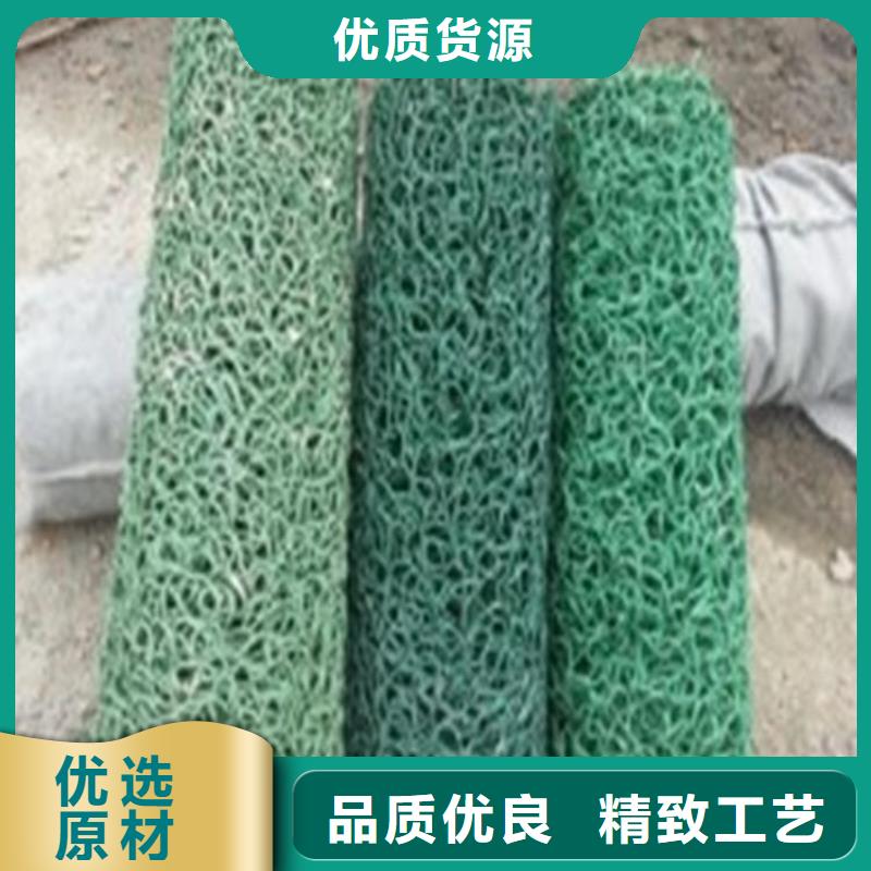土工格栅视频-辽宁省沈阳市鼎诺土工格栅可服务区域法库|东陵|盘锦|丹东|朝阳|锦州|阜新|铁岭等