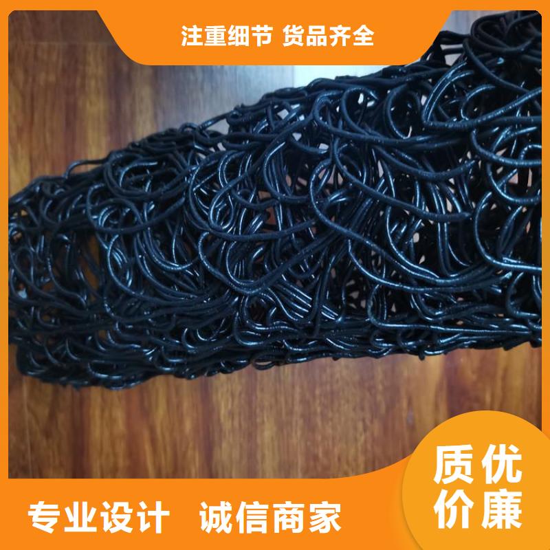 土工格栅视频-土工格栅-鼎诺土工材料(沈阳市分公司)服务区域东陵|法库|盘锦|本溪|葫芦岛|丹东|朝阳|抚顺|大连