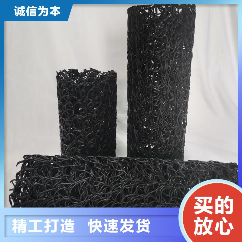土工格栅视频-土工格栅(鼎诺)覆盖地域浙江省台州市玉环|路桥|嘉兴|温州|衢州|绍兴|宁波|杭州