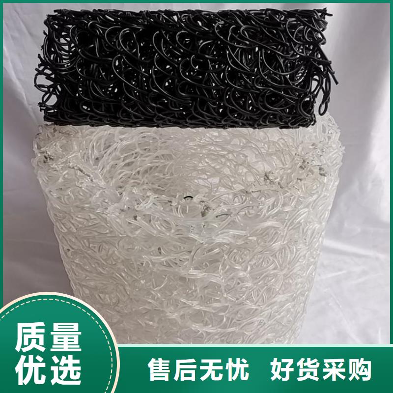 土工格栅视频-榆林市土工格栅-(同城)可服务区域定边|佳县|宝鸡|延安|西安|安康|咸阳