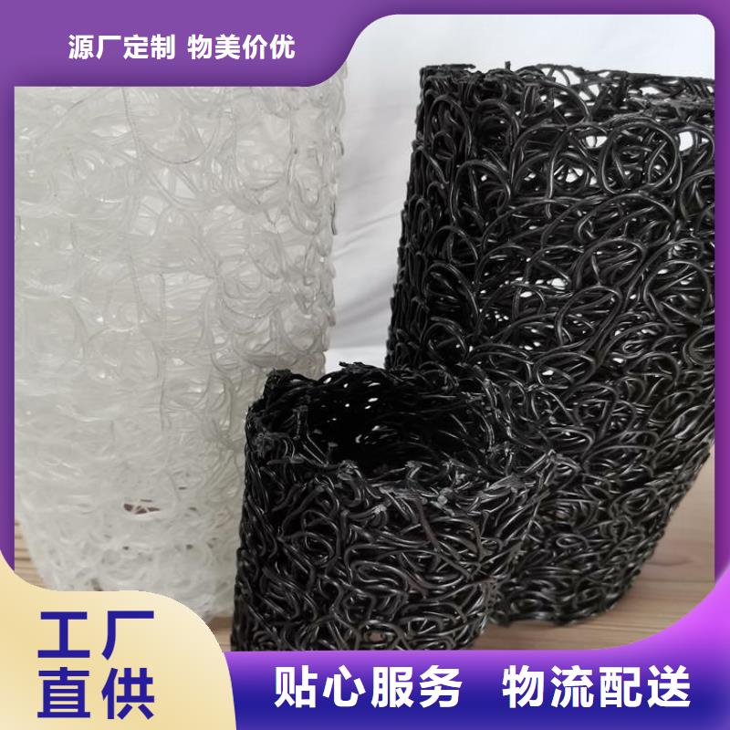土工格栅视频-土工格栅-鼎诺土工材料(沈阳市分公司)服务区域东陵|法库|盘锦|本溪|葫芦岛|丹东|朝阳|抚顺|大连