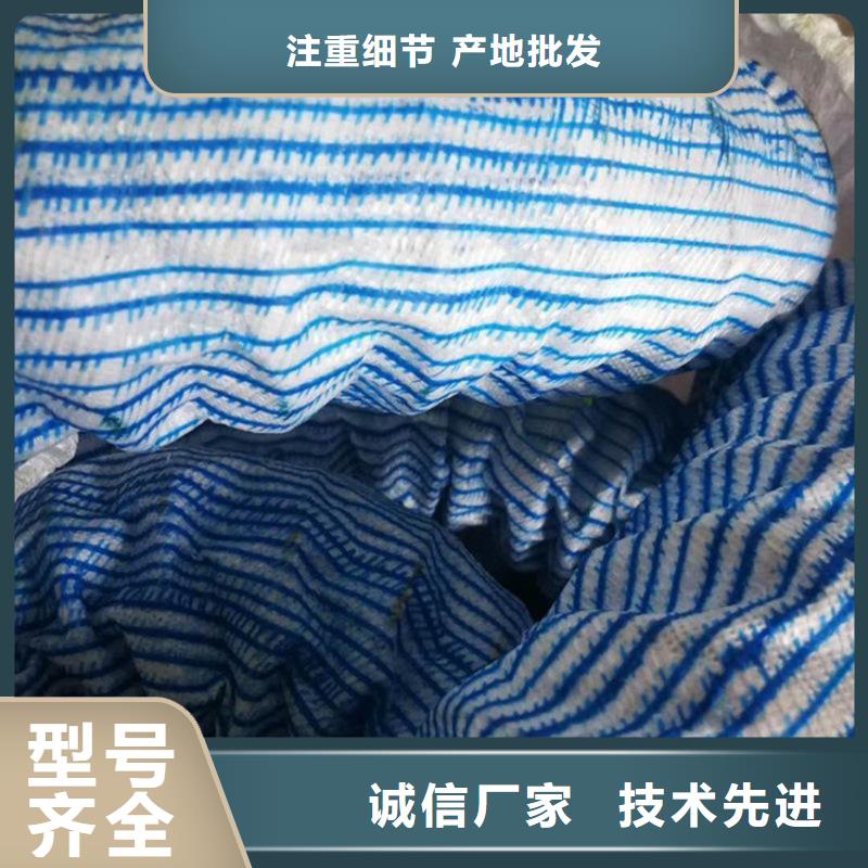 土工格栅视频-黑龙江省黑河市|爱辉|嫩江|哈尔滨|齐齐哈尔|佳木斯|鹤岗|大兴安岭|绥化土工格栅-鼎诺