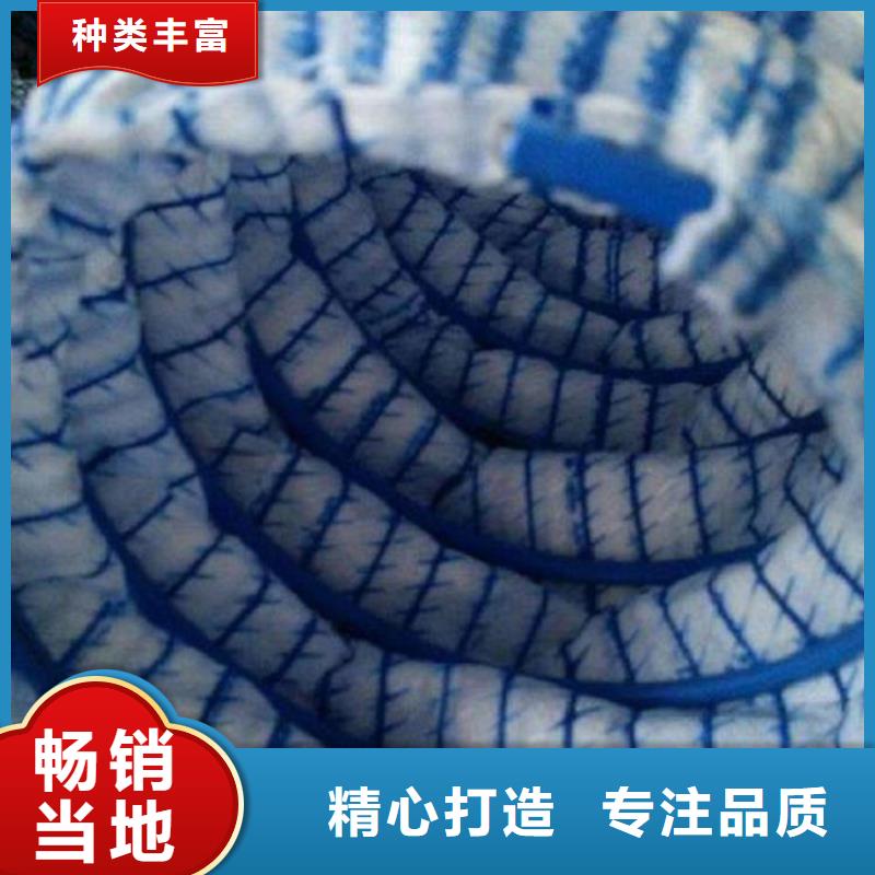 土工格栅视频-黑龙江省黑河市|爱辉|嫩江|哈尔滨|齐齐哈尔|佳木斯|鹤岗|大兴安岭|绥化土工格栅-鼎诺