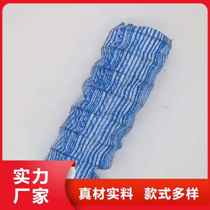 土工格栅视频-黑龙江省黑河市|爱辉|嫩江|哈尔滨|齐齐哈尔|佳木斯|鹤岗|大兴安岭|绥化土工格栅-鼎诺