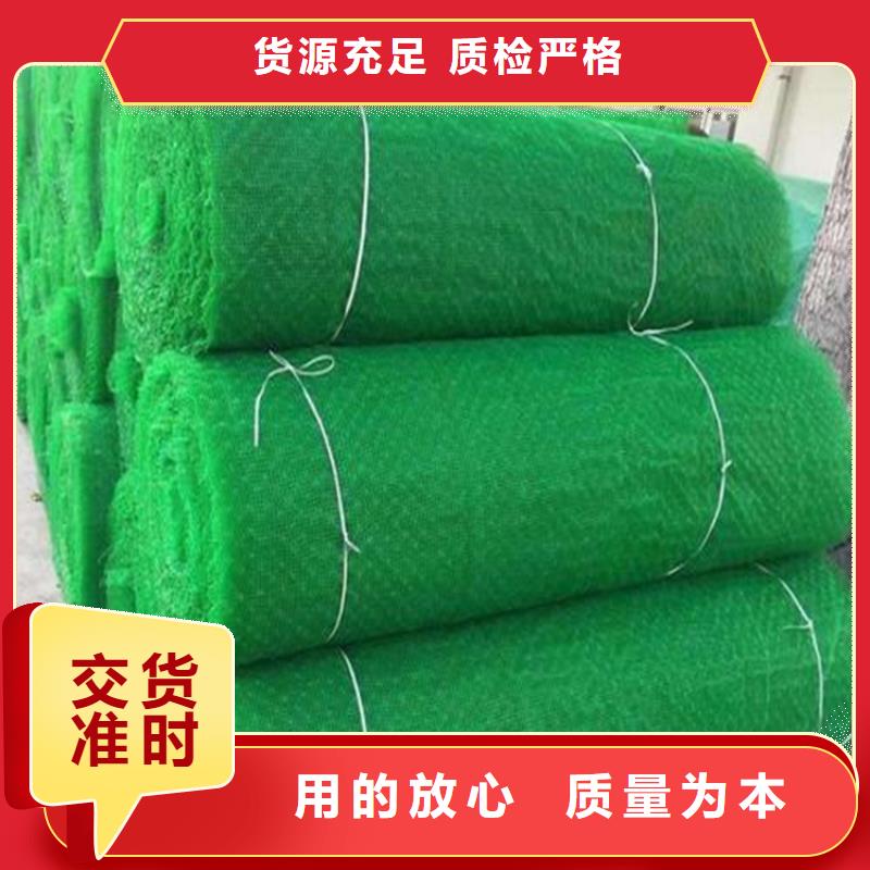 鼎诺土工格栅【三维植被网】_软式透水管免费询价sz5e.com