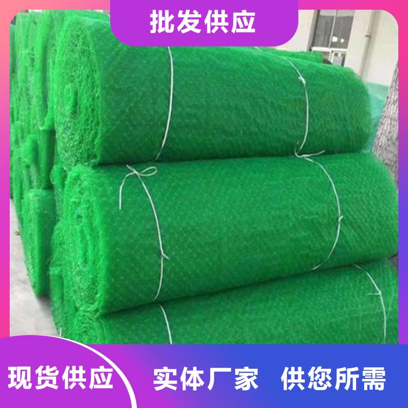 【 三维植被网膨润土防水毯买的放心】 鼎诺土工材料(益阳市分公司)