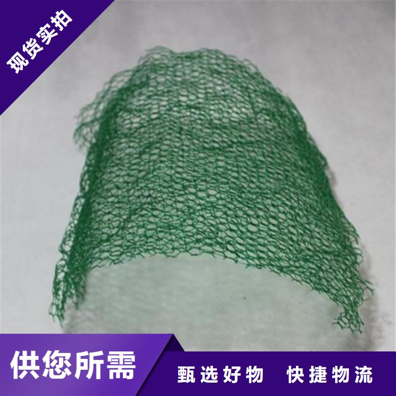 三維植被網【排水板】從廠家買售后有保障