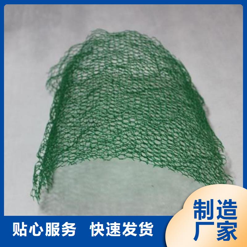 土工格栅视频-土工格栅_云南省德宏市市场覆盖芒市|瑞丽|临沧|丽江|红河|昆明|楚雄等