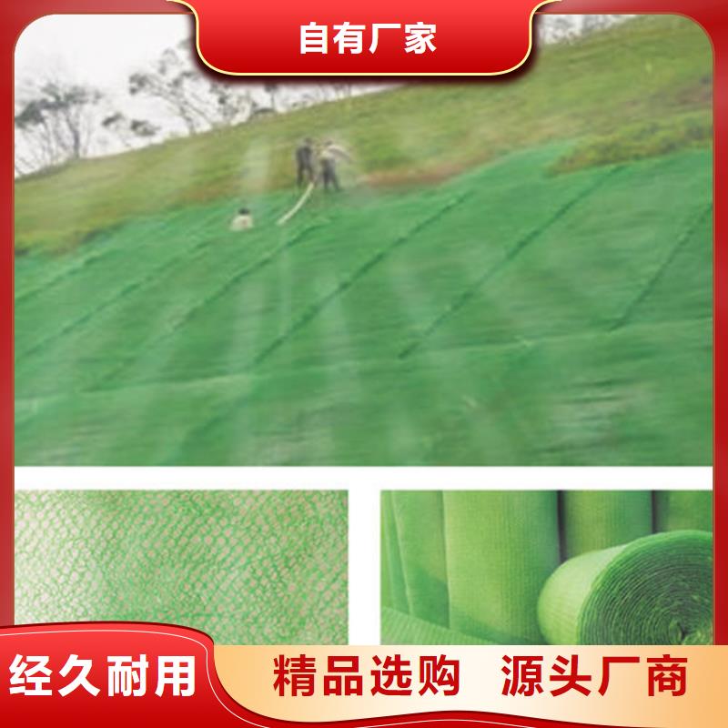 土工格栅视频-土工格栅-鼎诺土工材料(六安市分公司)服务区域寿县|霍山|合肥|巢湖|蚌埠|淮北|滁州|马鞍山
