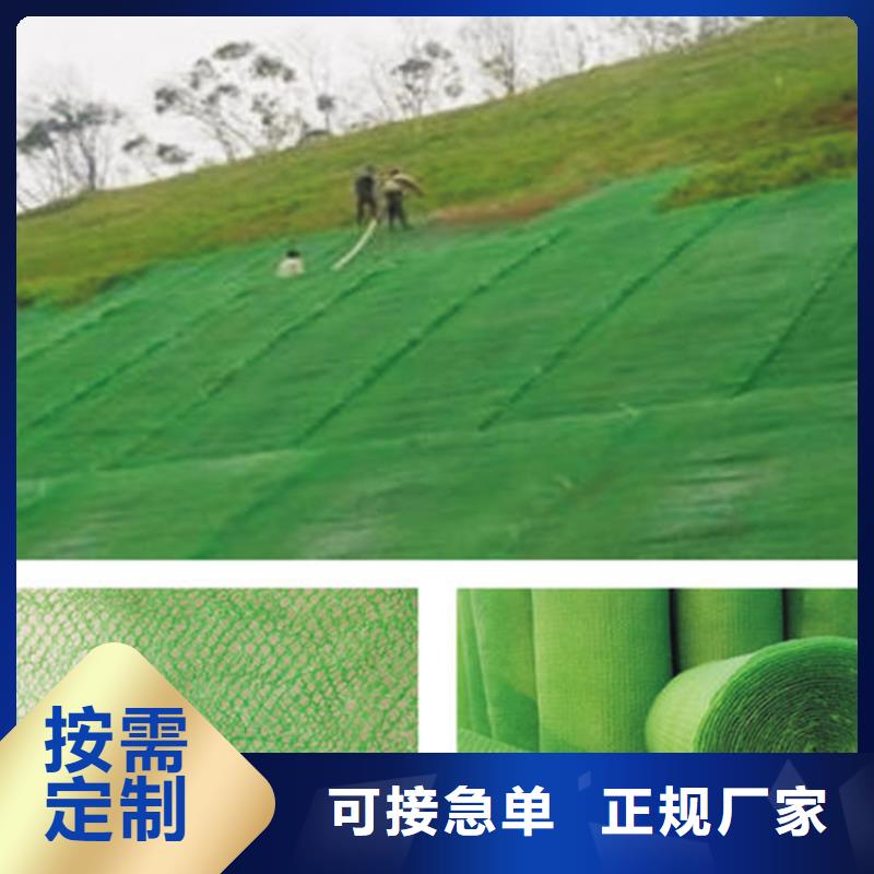 三维植被网,【塑料排水板】产地厂家直销