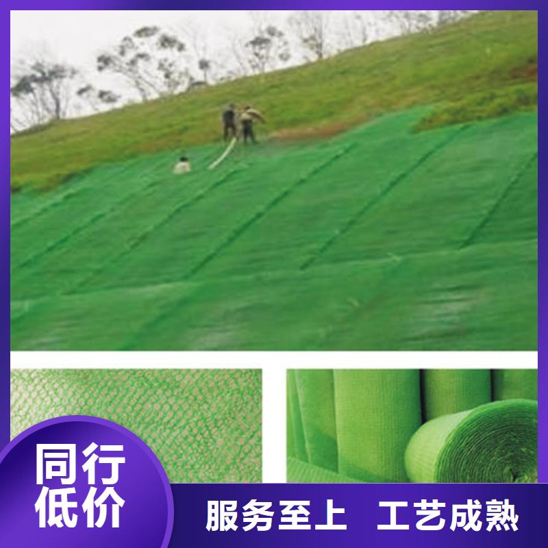三維植被網(wǎng),土工膜真正的源頭廠家