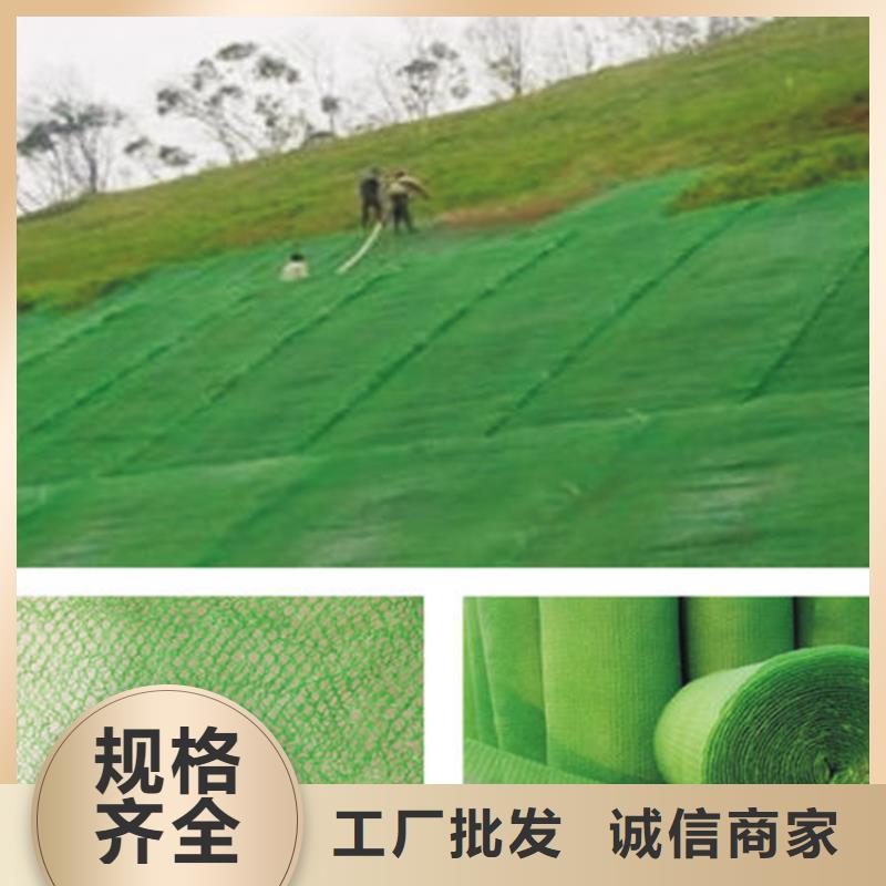 三維護坡植草網鋪設方法