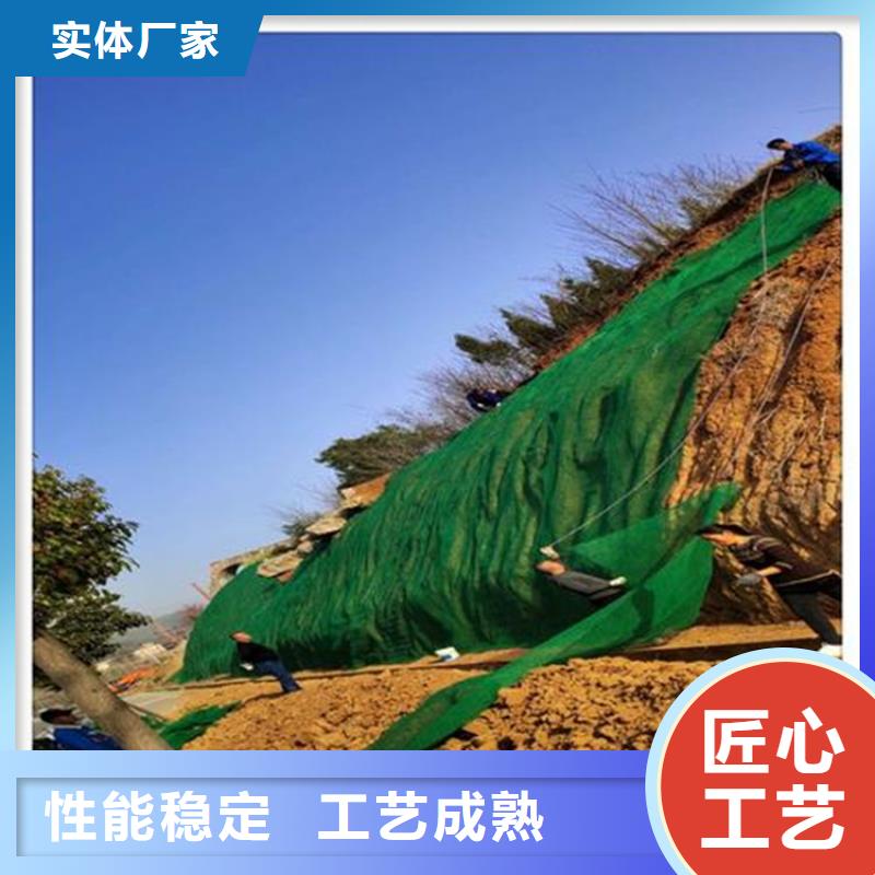 三維植被網(wǎng)防草布質(zhì)優(yōu)價保