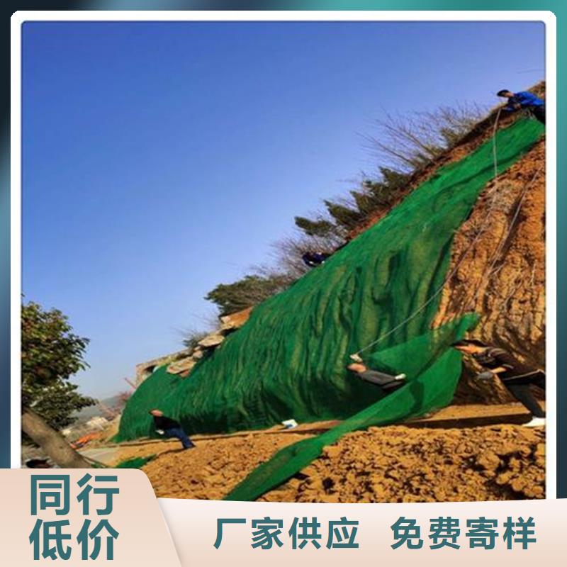 土工格栅视频-土工格栅-鼎诺土工材料(六安市分公司)服务区域寿县|霍山|合肥|巢湖|蚌埠|淮北|滁州|马鞍山