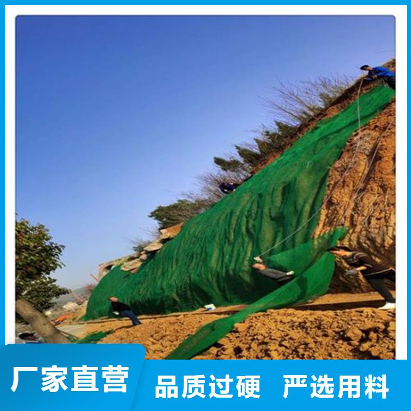 【 三维植被网膨润土防水毯买的放心】 鼎诺土工材料(益阳市分公司)