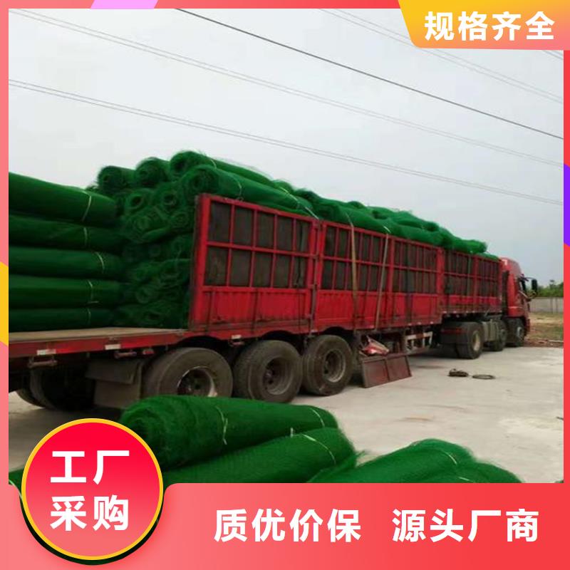 三維植被網(wǎng)代理批發(fā)