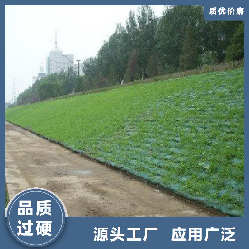 三維植被網(wǎng)通風降噪絲網(wǎng)使用方法