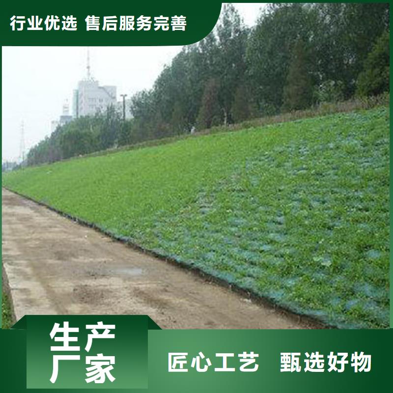 植草三維土工網(wǎng)墊