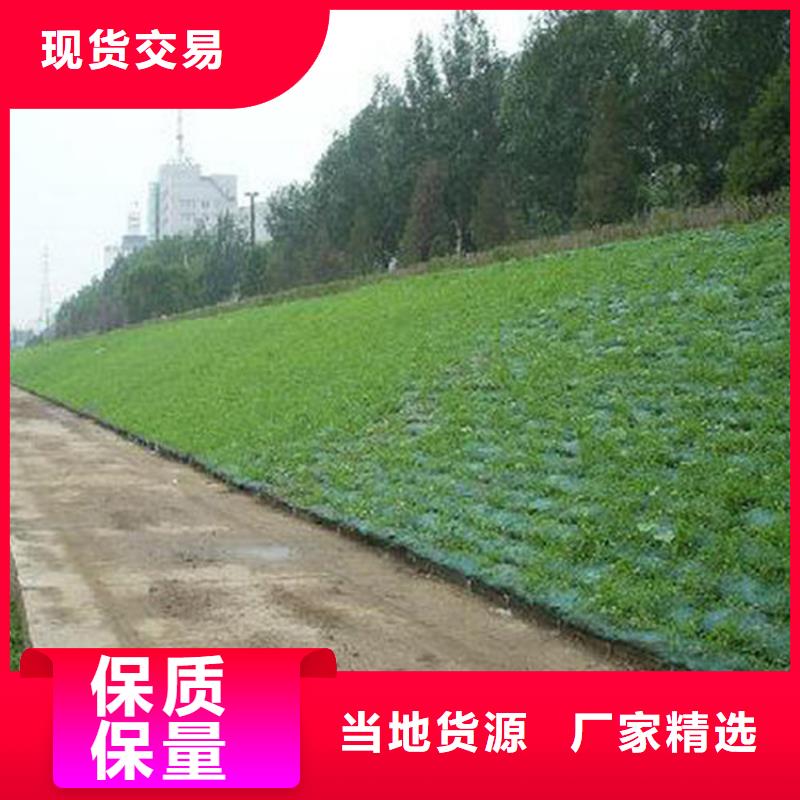 三維植被網EM3EM5