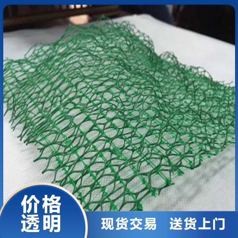 土工格栅视频-土工格栅(鼎诺)覆盖地域湖南省益阳市赫山|桃江|永州|岳阳|怀化|株洲|长沙|湘潭